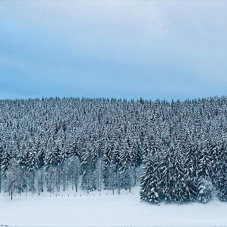 Appartement Familie Willems Winterberg Am Waltenberg Eksteriør bilde